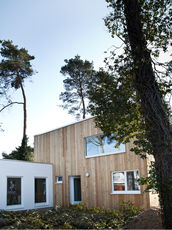 Holzhaus mit Bäumen und Vorgarten